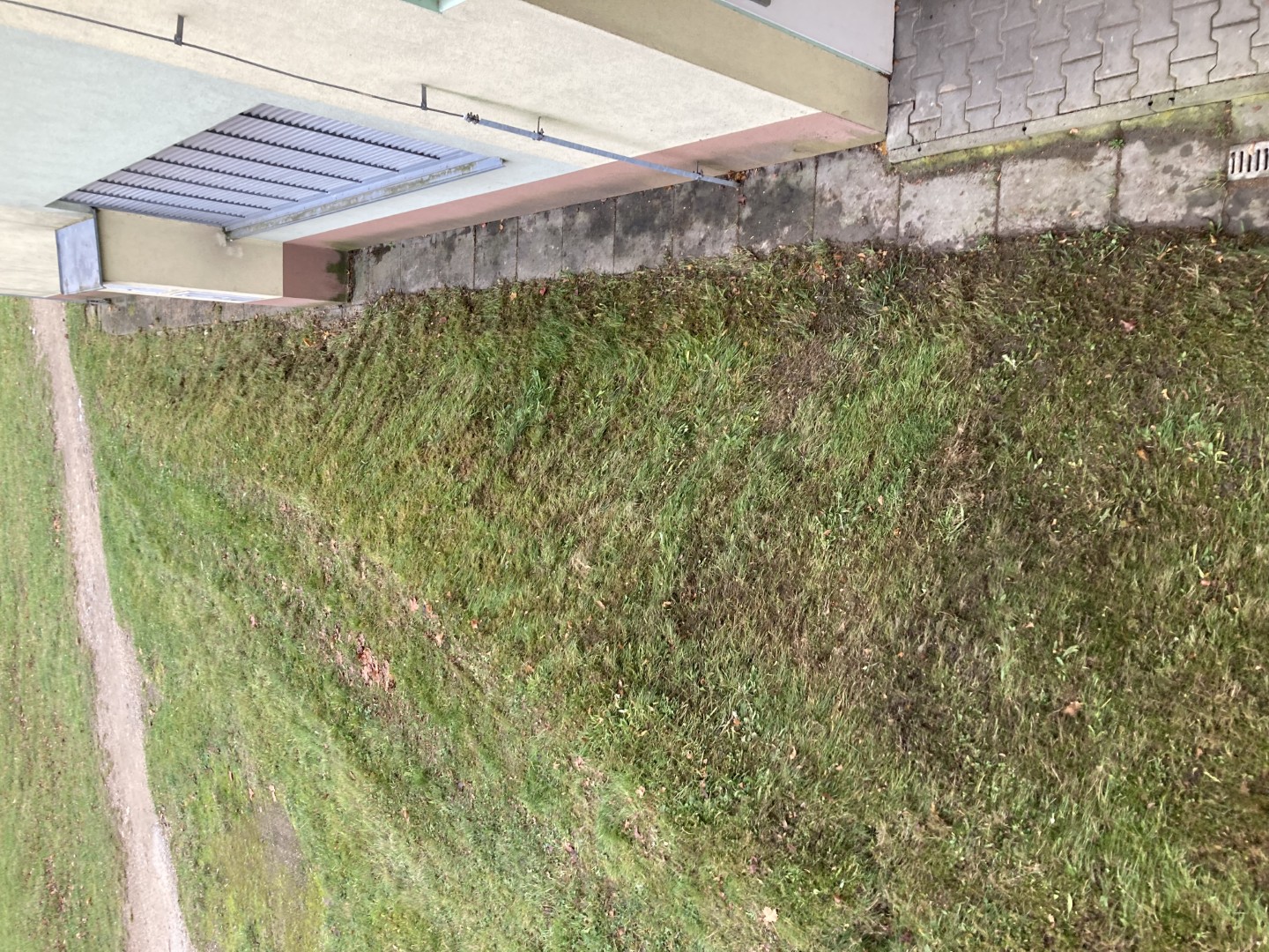 8.11.2025 úklid listí před garážemi (4)