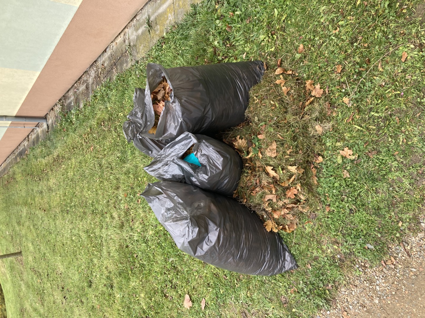 8.11.2025 úklid listí před garážemi (1)